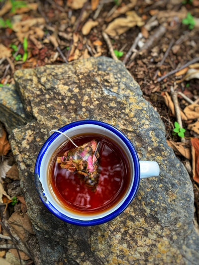 Picnic Society Australian Picnic Tea