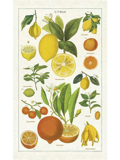 Vintage Citrus Inspired Tea Towel
