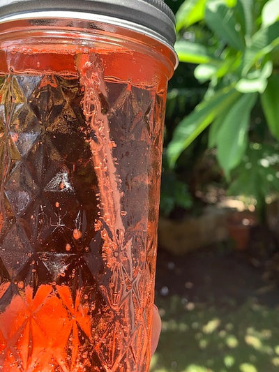 Picnic Cordial Concentrate